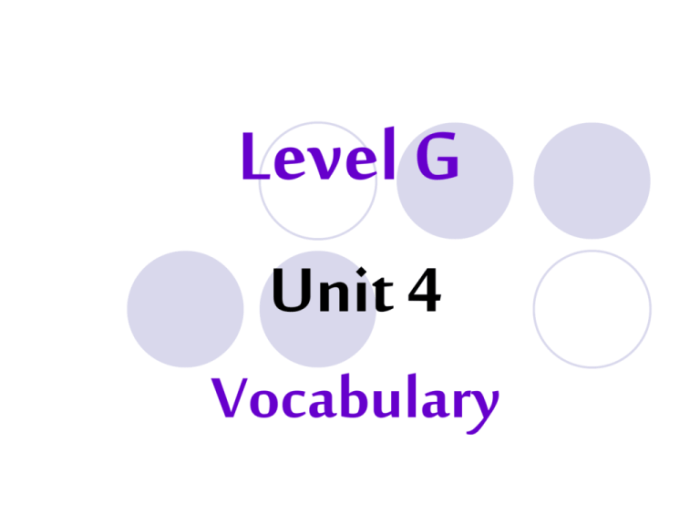 Vocabulary level g unit 4