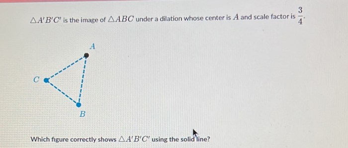 Which number line correctly shows 4.5 2.5