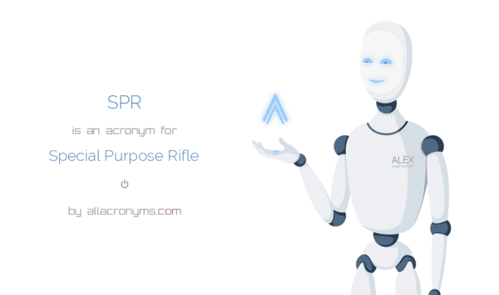 The modular approach of spr means which of the following