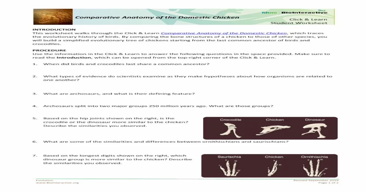 Comparative anatomy of the domestic chicken answers