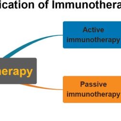 On the graph indicate characteristics of passive and active immunotherapy