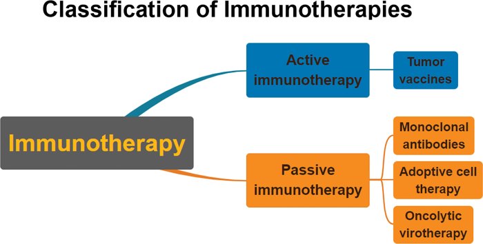 On the graph indicate characteristics of passive and active immunotherapy