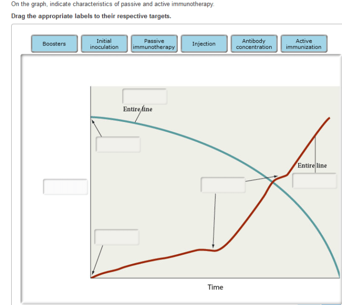 On the graph indicate characteristics of passive and active immunotherapy