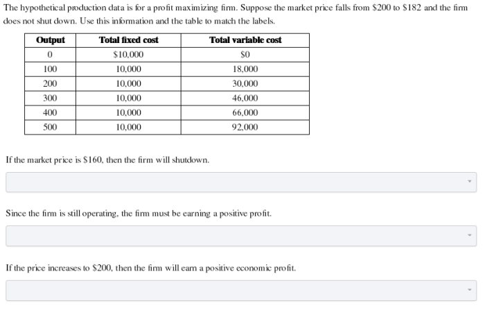 The hypothetical production data is for a profit maximizing firm